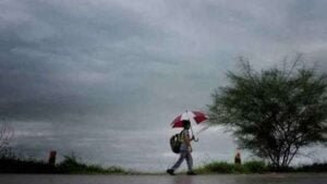 weather forecast