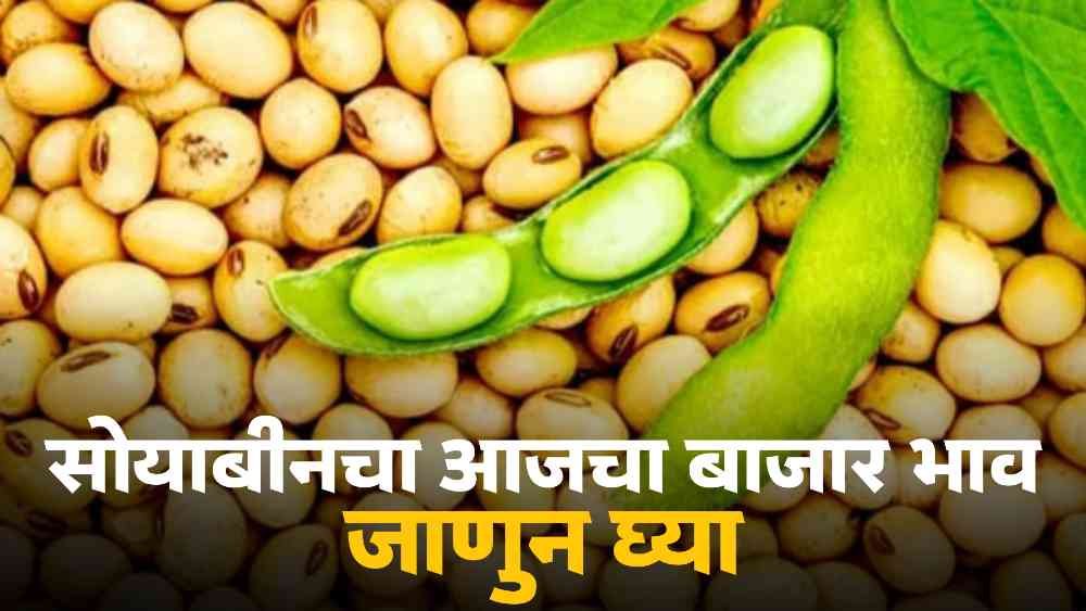 Soybean market price