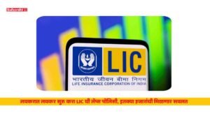 LIC policy