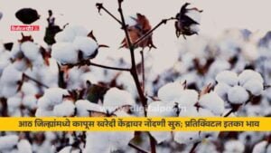 Picsart_23-10-26_10-07-43-407