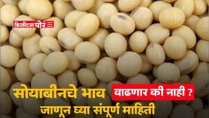 Soybean market price