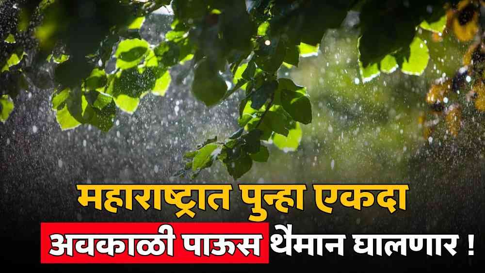 Maharashtra Weather Forecast