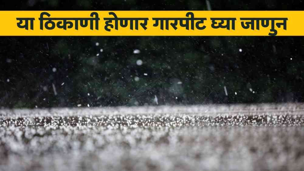 Weather Forecast