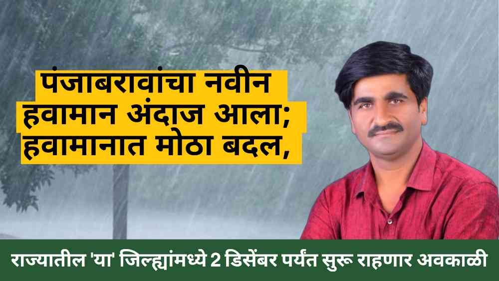 Punjab Duck Weather Forecast