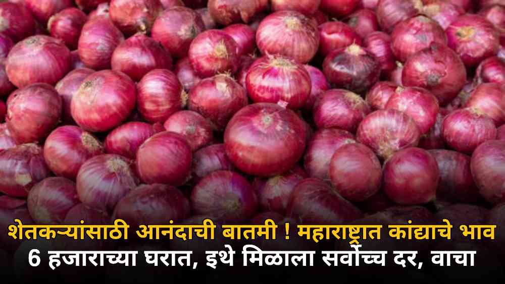 Onion Market