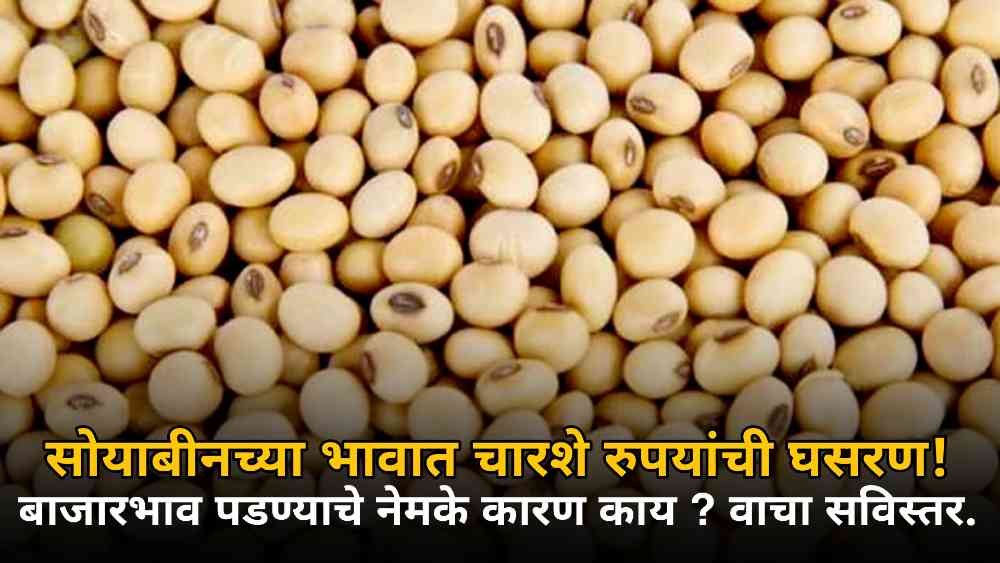 Soyabean Rate