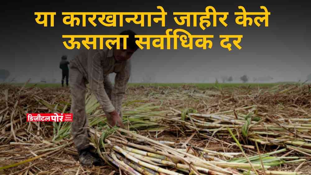 sugarcane rate