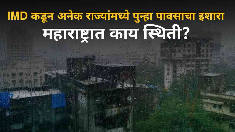 weather forecast