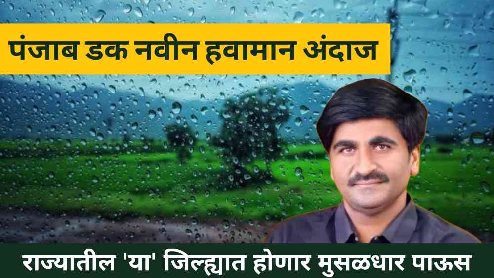 Punjab Duck New Weather Forecast
