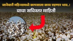 Greaves Cotton Share Price