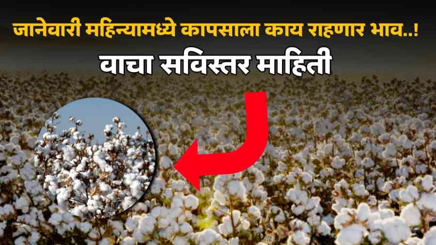 Greaves Cotton Share Price