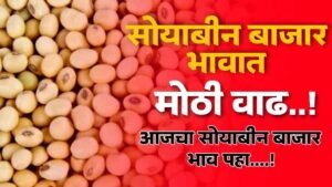 Soybean Market Price Today