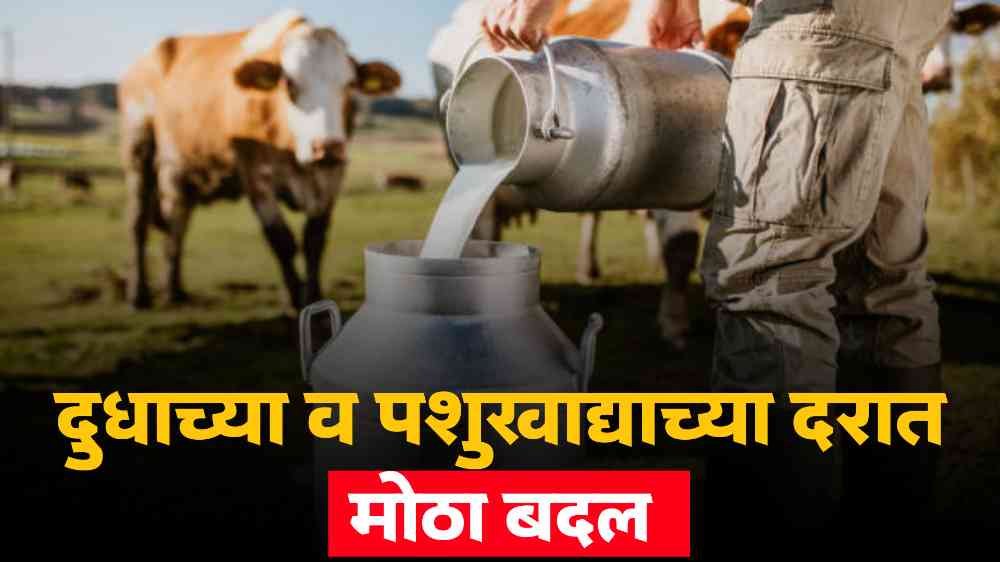 Today's Milk Price