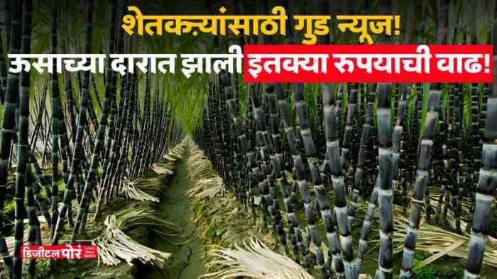 Price increase of sugarcane