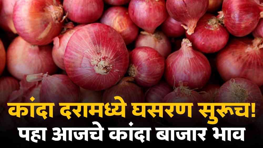 Onion Market Price