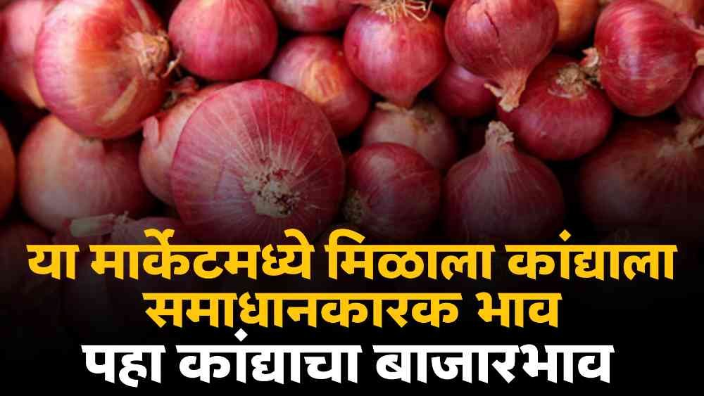 Onion Market