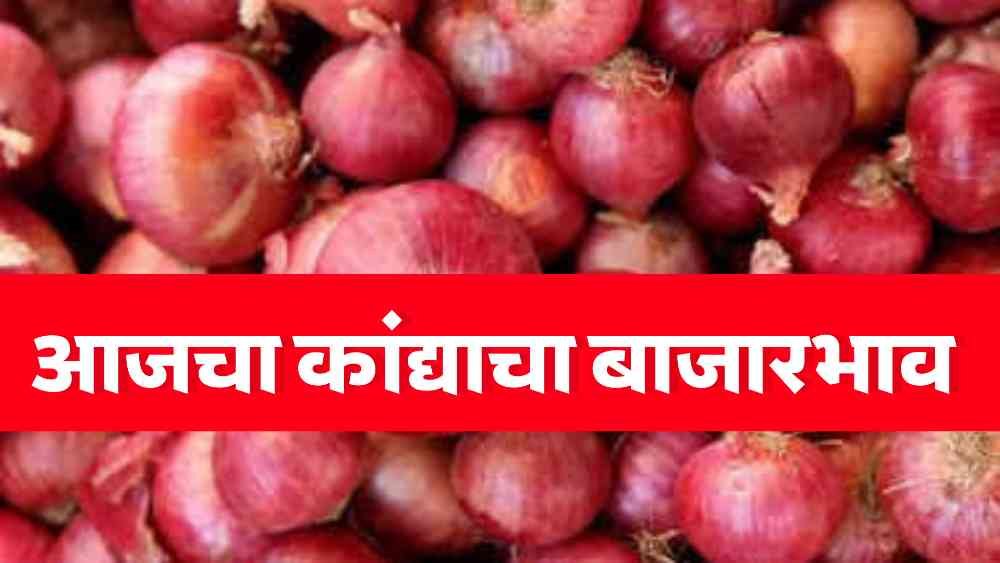 Onion Market