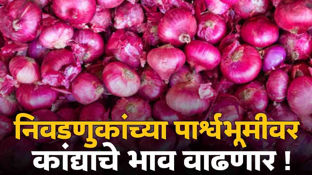 Onion Market
