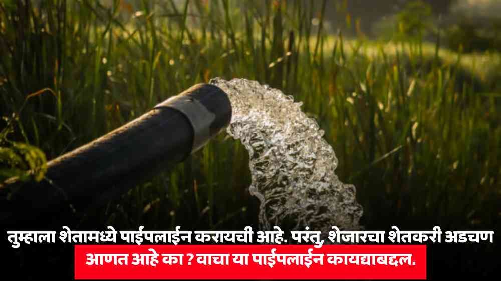 Agriculture News