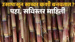 Sugar Manufacturing Process Step by Step