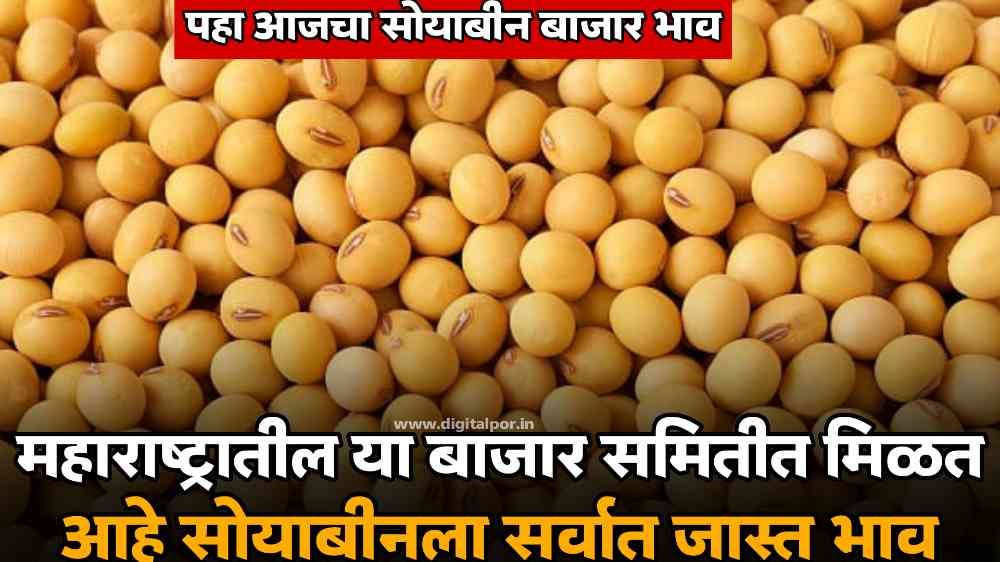 Soyabean Rate today market