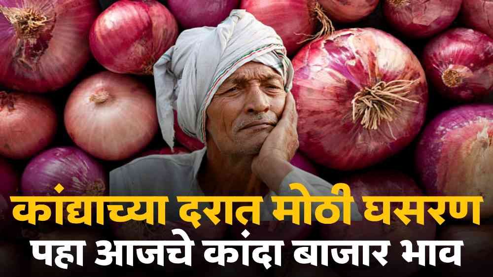 Pimpalgaon Onion Market Rate Today