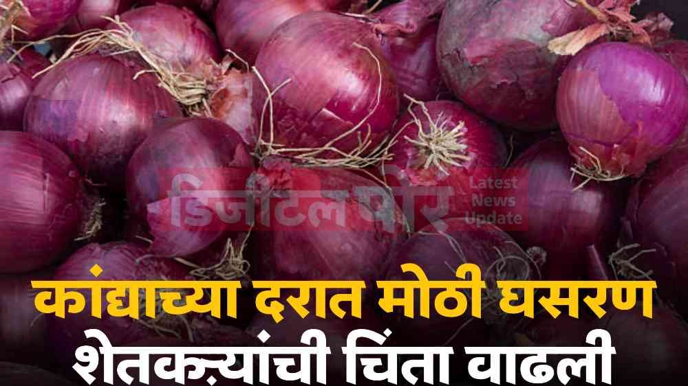 Onion Market in Maharashtra