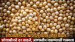 Soyabean Price Today In Maharashtra