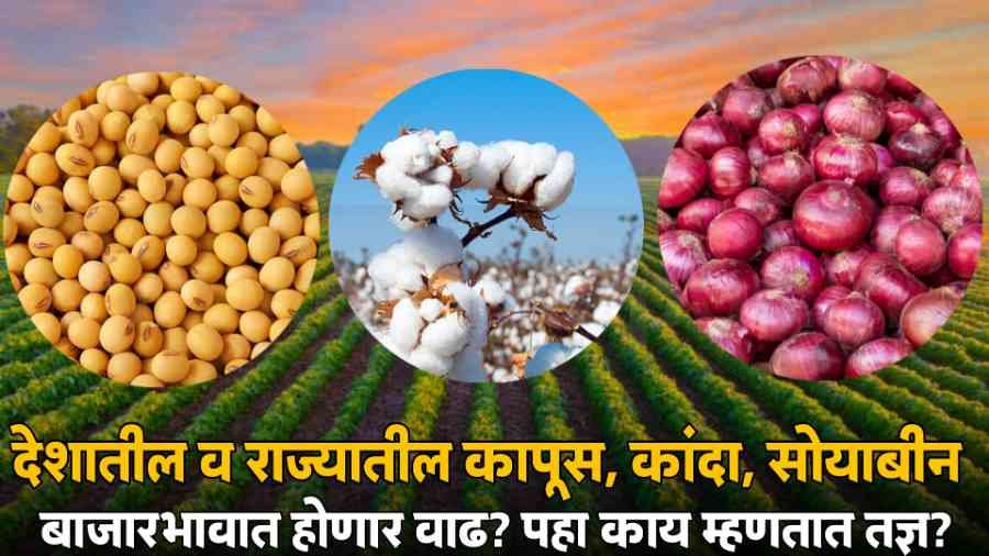 National Agriculture Market