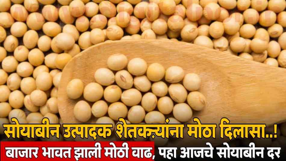 Soyabean Rate Today