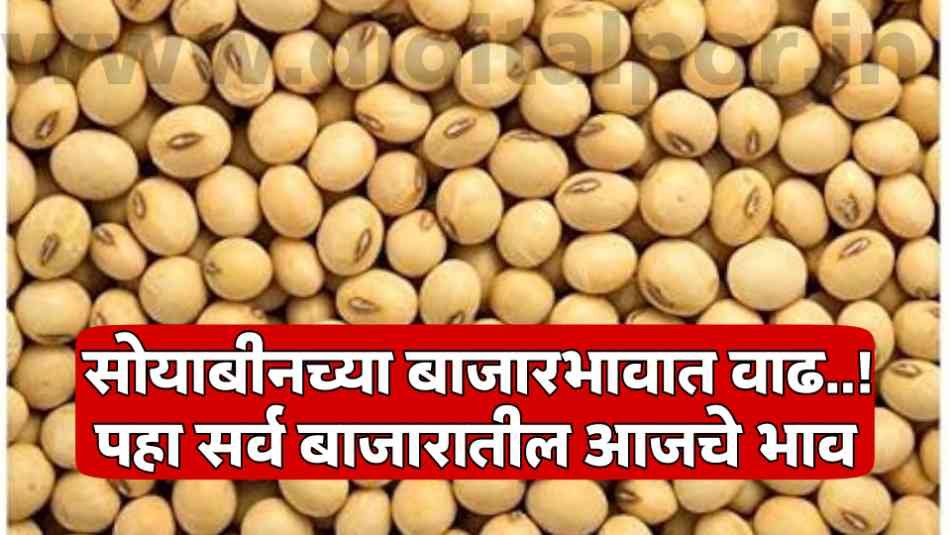 Soyabean Rate Today