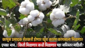 Cotton Market News
