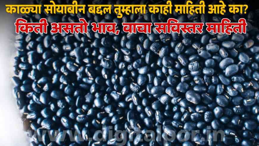 Soybean Variety
