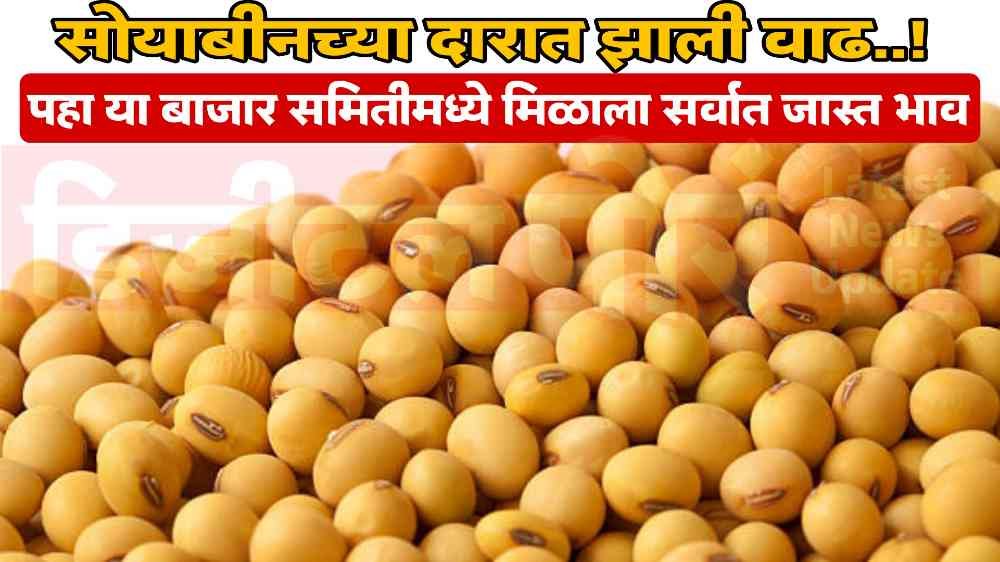 Soyabean Rate In Maharashtra