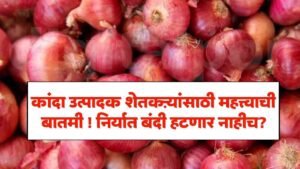 Onion Rates