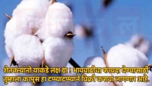 Cotton Market News