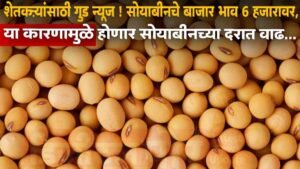 Soyabean Rate In Maharashtra