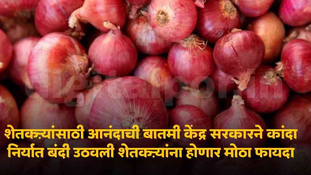 Onion Market