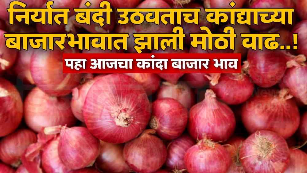 Onion Market In Maharashtra