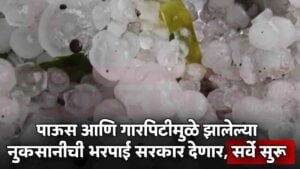 Agriculture In India