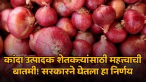 Government Onion Export