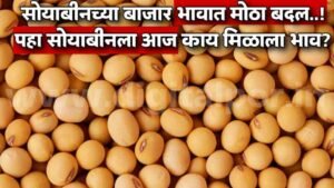 Soyabean Rate Today