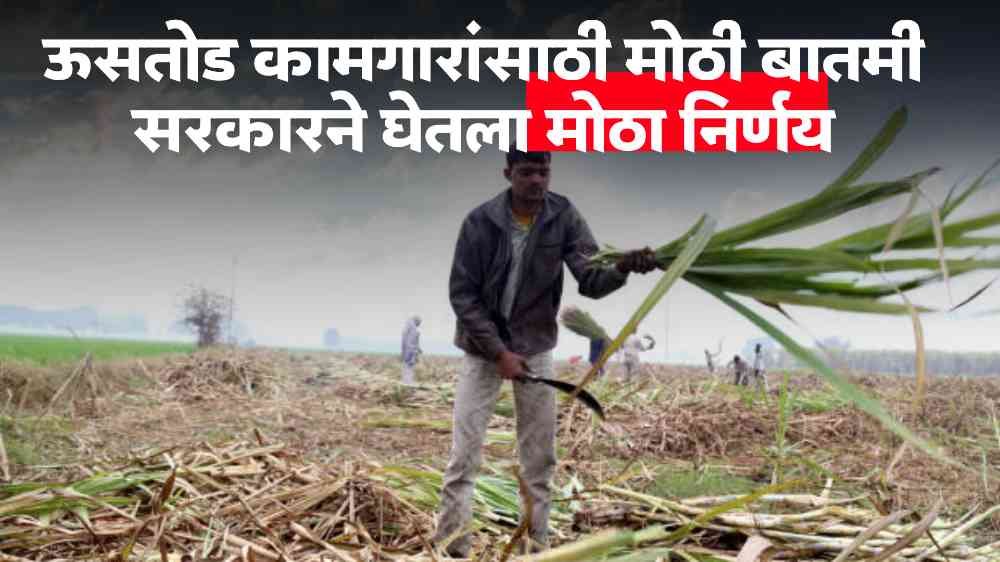 Sugarcane Workers