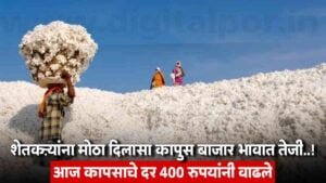 Cotton Market Today