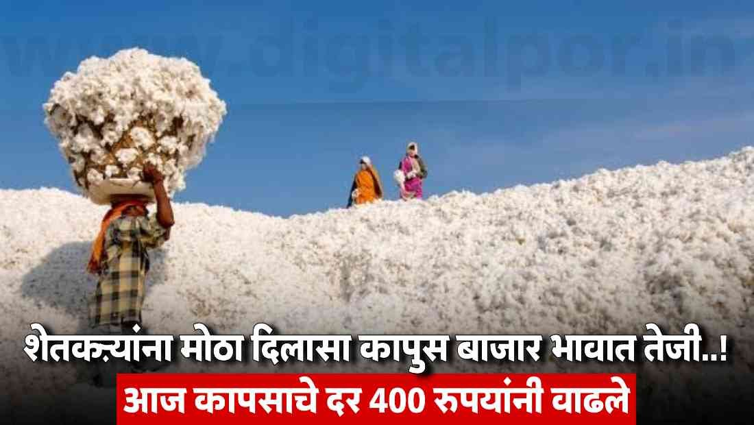 Cotton Market Today