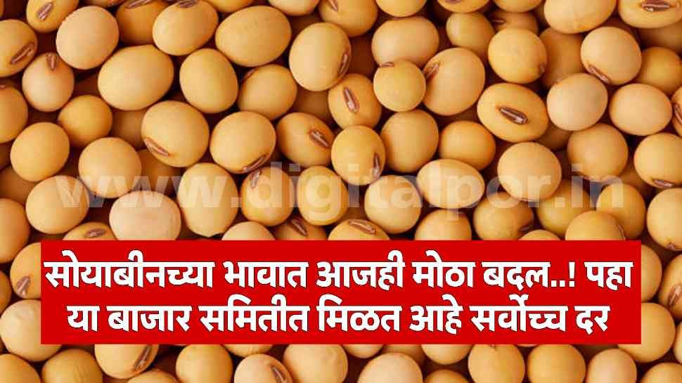 Soyabean Rate Today