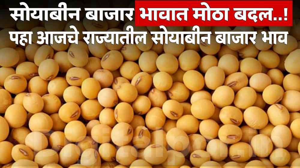 Soyabean Rate Today