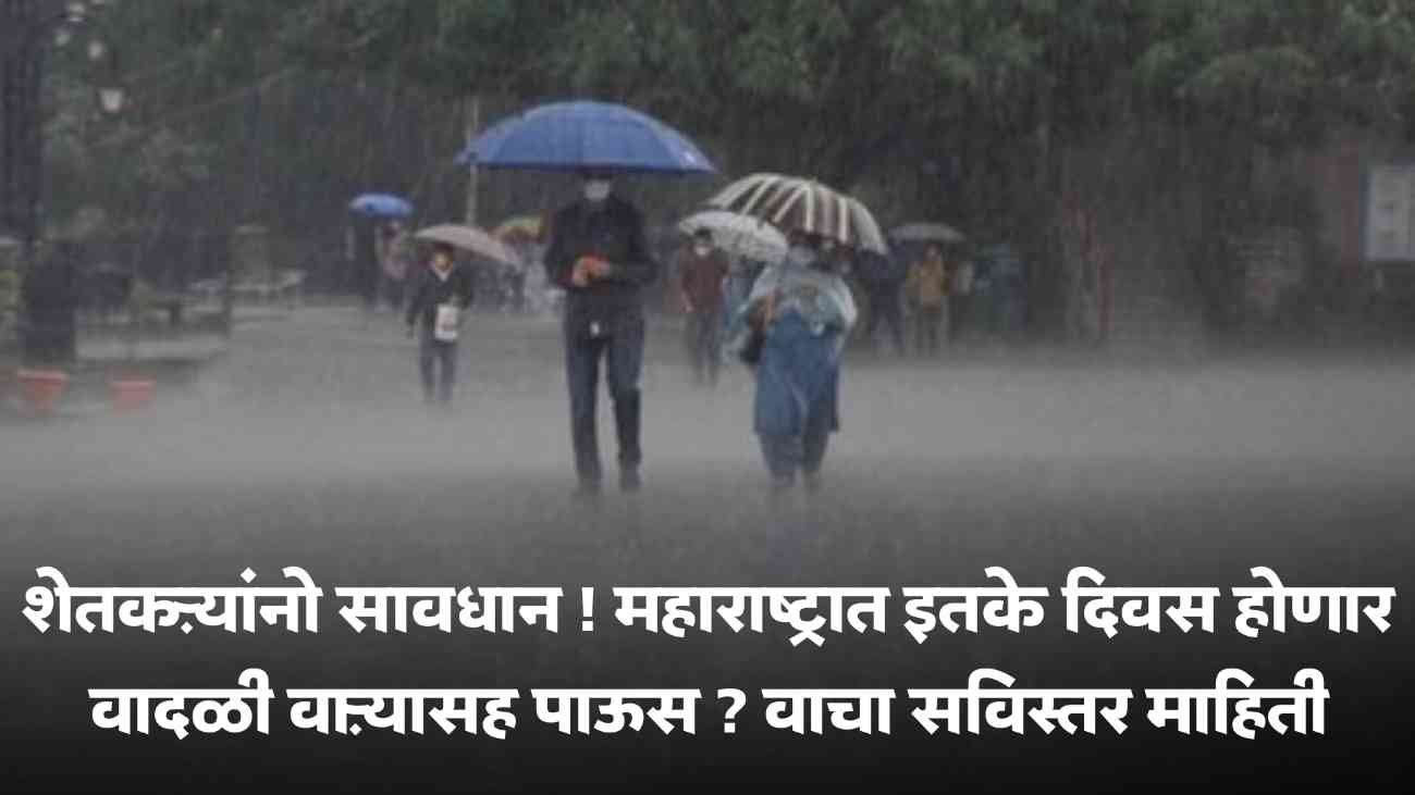 Rain Alert