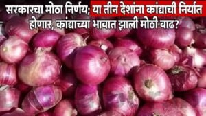 Onion Export Ban News