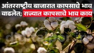 Cotton Rate